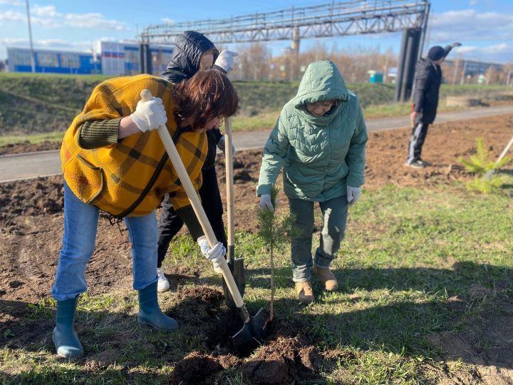 Сотрудники химического комплекса приняли участие в посадке деревьев